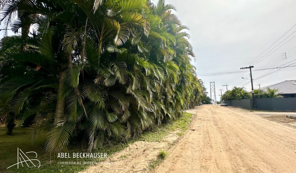 WhatsApp Image 2026-03-05 at 21.05.36 (1)