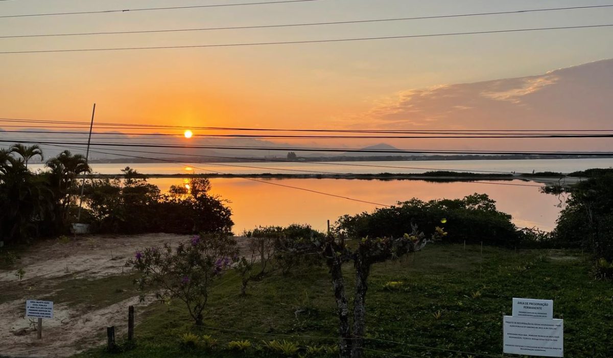 WhatsApp Image 2026-03-10 at 10.07.29 (2)