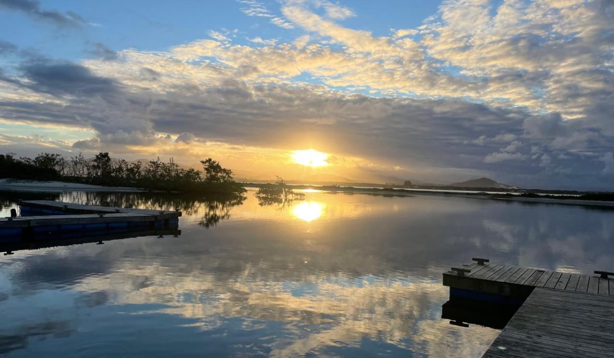 WhatsApp Image 2026-03-10 at 10.07.29